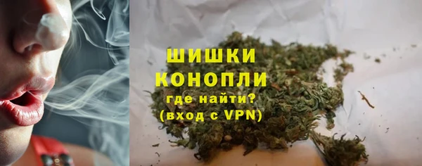 хмурый Богородицк